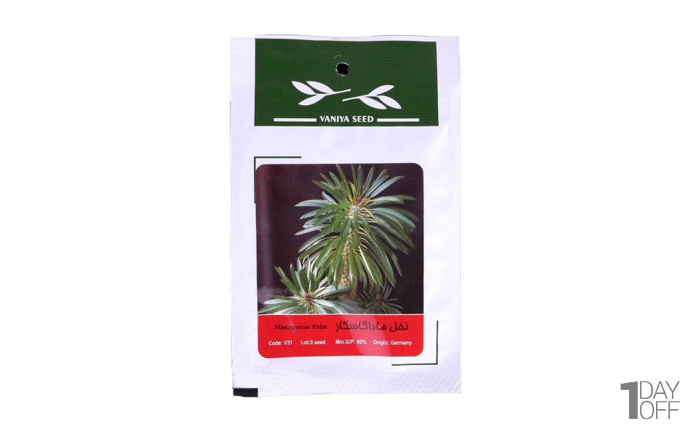 بذر نخل ماداگاسگار (Madagascar Palm) وانیا آذر سبزینه کد V31 مقدار 3 دانه