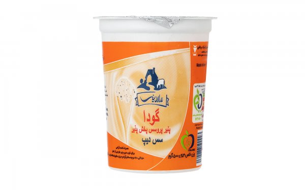 دیپ پنیر گودا ماردینی مقدار 500 گرم