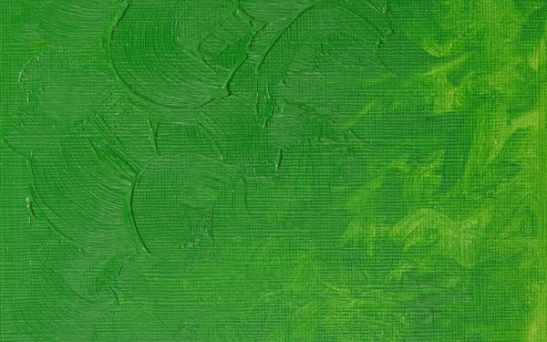 رنگ روغن وینزور (Winsor) سری Winton مقدار 200 میلی‌لیتر رنگ PERMANENT GREEN LIGHT