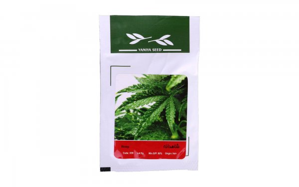 بذر شاهدانه (Hemp) وانیا آذر سبزینه کد X38 مقدار 5 گرم