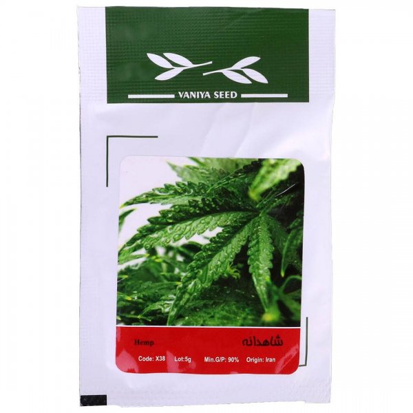 بذر شاهدانه (Hemp) وانیا آذر سبزینه کد X38 مقدار 5 گرم