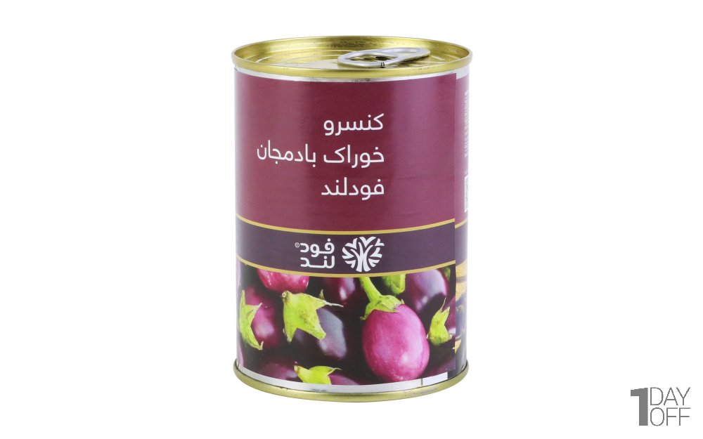کنسرو خوراک بادمجان فودلند مقدار 380 گرم