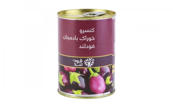 کنسرو خوراک بادمجان فودلند مقدار 380 گرم