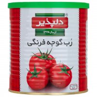 رب گوجه‌فرنگی دلپذیر 800 گرم