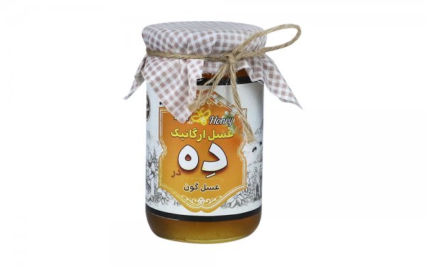 عسل ارگانیک گون دِه مقدار 850 گرم