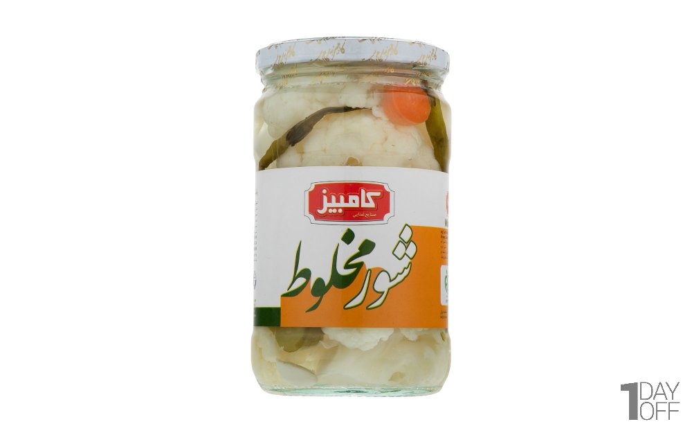 شوری مخلوط کامبیز مقدار 670 گرم