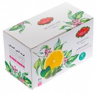 دمنوش دیتوکس گلستان 20 عددی