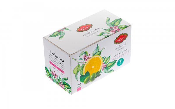 دمنوش دیتوکس گلستان بسته 20 عددی