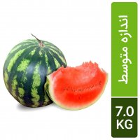 هندوانه گرد دورنگ متوسط حدود 7 کیلوگرم