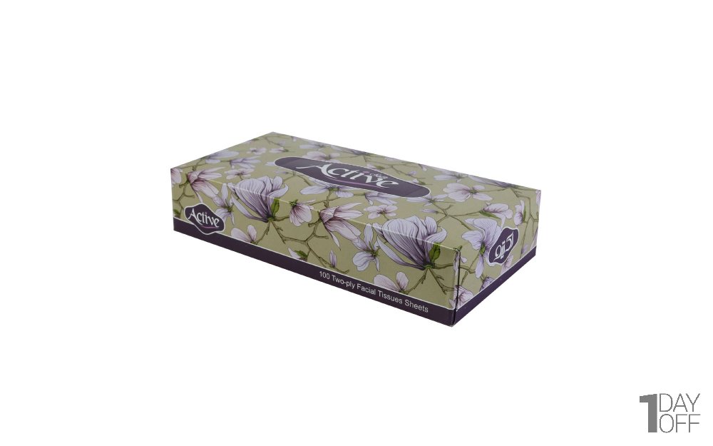 دستمال کاغذی دولایه اکتیو بسته 100 برگ
