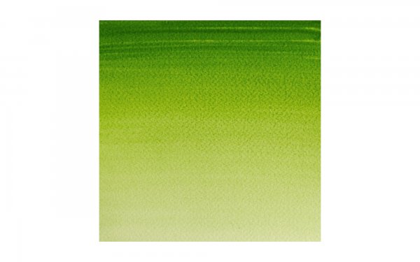 قرص آبرنگ وینزور (Winsor) سری Cotman رنگ SAP GREEN