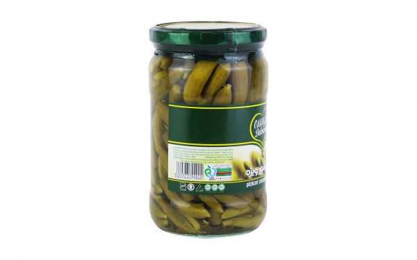 خیارشور ویژه دلوسه مقدار 750 گرم