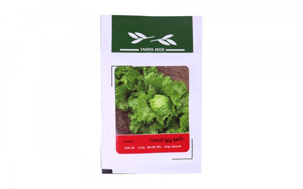 بذر کاهو پیچ اورست (Lettuce) وانیا آذر سبزینه کد 126 مقدار 3 گرم