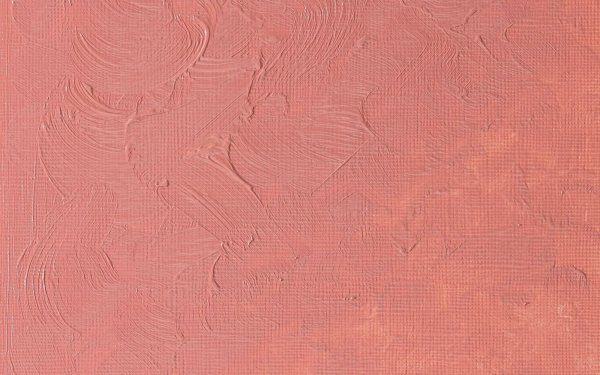 رنگ روغن وینزور (Winsor) سری Winton مقدار 200 میلی‌لیتر رنگ FLESH TINT