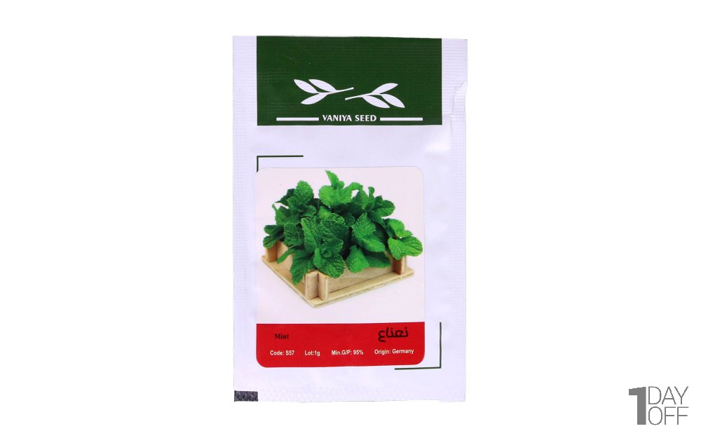 بذر نعناع (Mint) وانیا آذر سبزینه مقدار 1 گرم