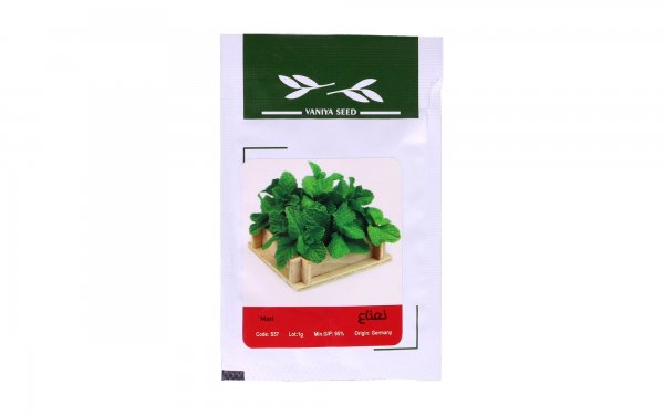 بذر نعناع (Mint) وانیا آذر سبزینه مقدار 1 گرم