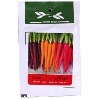 بذر هویج رنگی (Carrot Mix) وانیا آذر سبزینه کد H17 مقدار 3 گرم