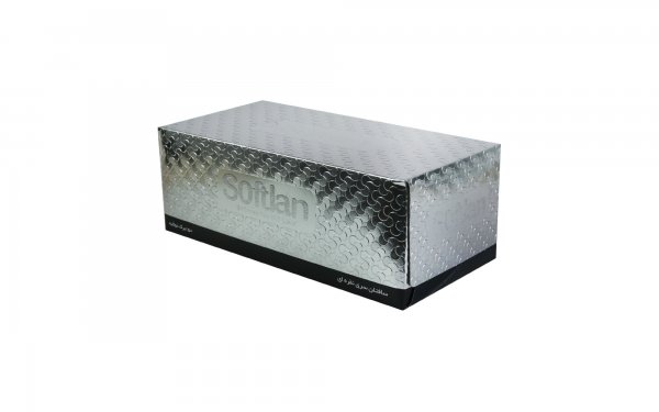 دستمال کاغذی دولایه سری نقره‌ای سافتلن بسته 150 برگ