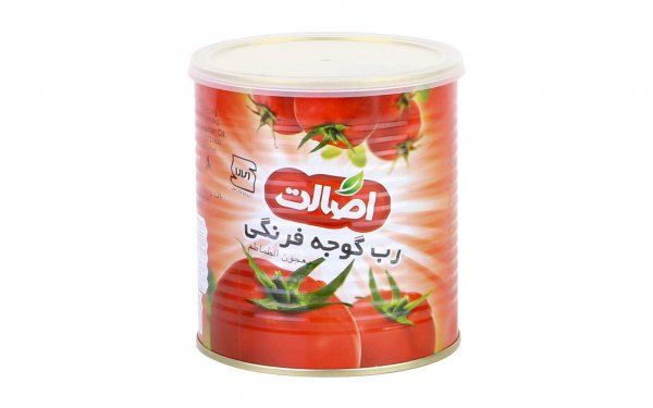 رب گوجه‌فرنگی اصالت مقدار 800 گرم