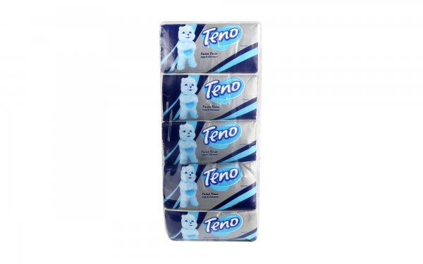 دستمال کاغذی اقتصادی 250 برگ دولایه تنو بسته 10 عددی