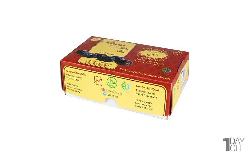 خرمای رژیمی صادراتی ساغر رایان مقدار 580 گرم