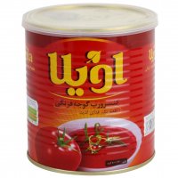 رب گوجه فرنگی اویلا 800 گرم