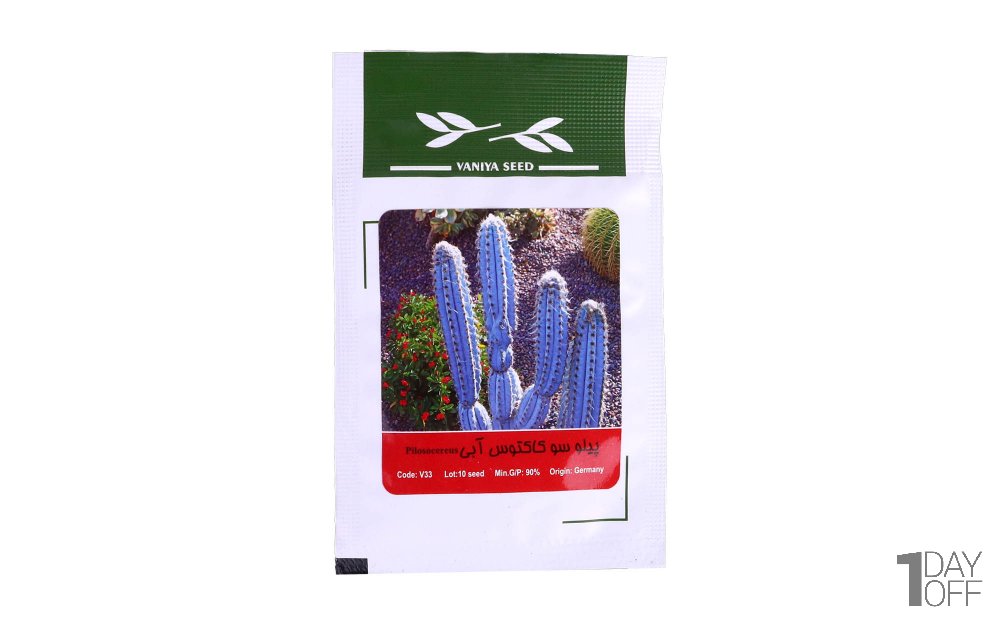 بذر پیلو سو کاکتوس آبی (Pilosocereus) وانیا آذر سبزینه کد V33 مقدار 10 دانه