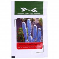 بذر پیلو سو کاکتوس آبی (Pilosocereus) وانیا آذر سبزینه کد V33 مقدار 10 دانه