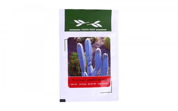 بذر پیلو سو کاکتوس آبی (Pilosocereus) وانیا آذر سبزینه کد V33 مقدار 10 دانه