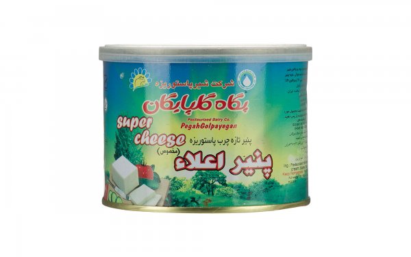 پنیر تازه چرب پگاه گلپایگان مقدار 380 گرم