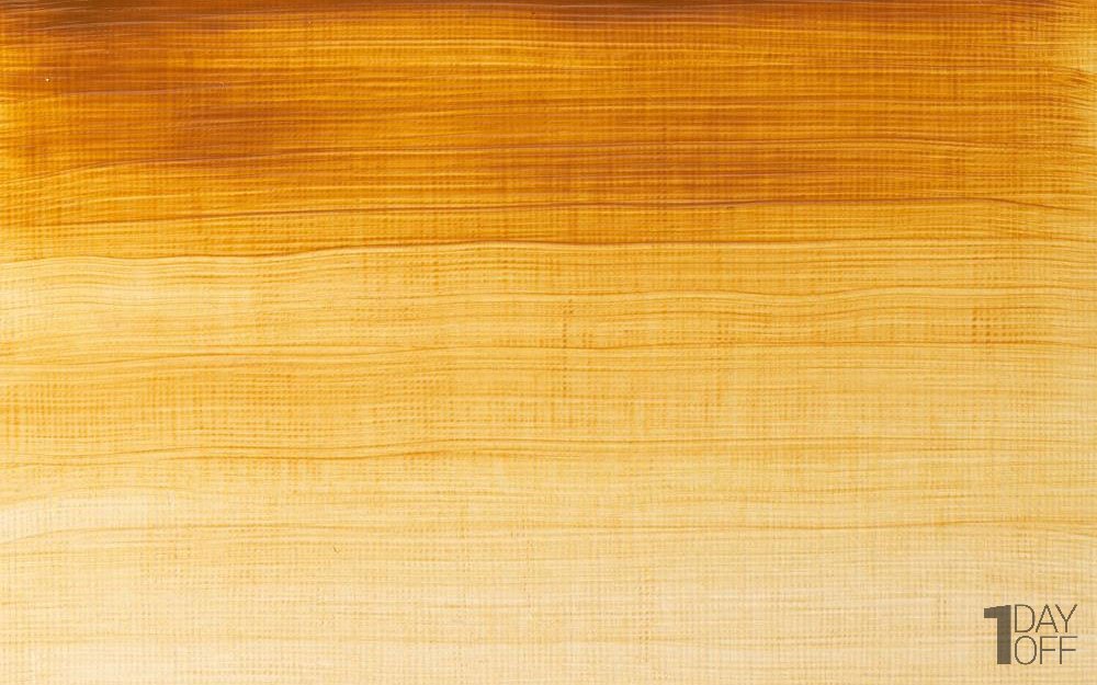 رنگ روغن وینزور (Winsor) سری Winton مقدار 200 میلی‌لیتر رنگ RAW SIENNA