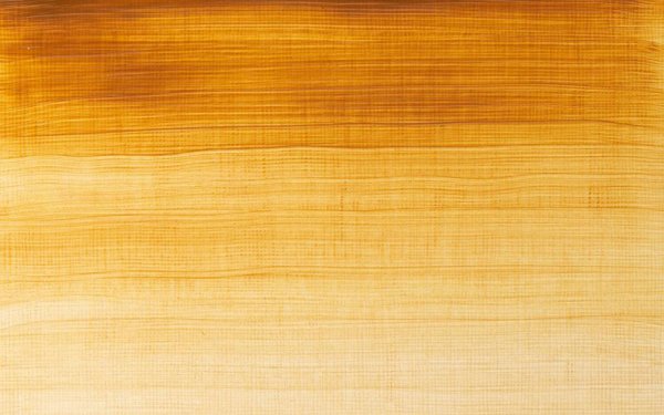 رنگ روغن وینزور (Winsor) سری Winton مقدار 200 میلی‌لیتر رنگ RAW SIENNA