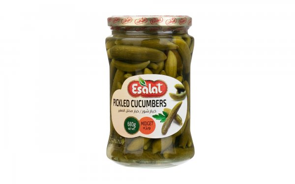 خیارشور ویژه اصالت مقدار 700 گرم