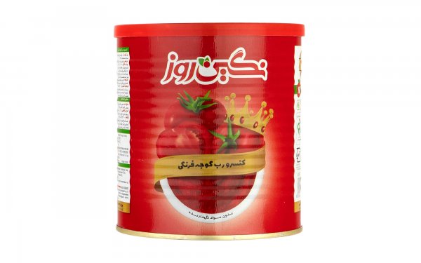 رب گوجه فرنگی نگین روز 800 گرم 