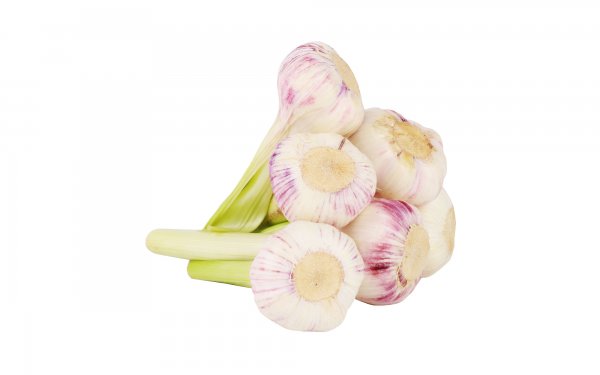 سیر تازه مقدار 500 گرم
