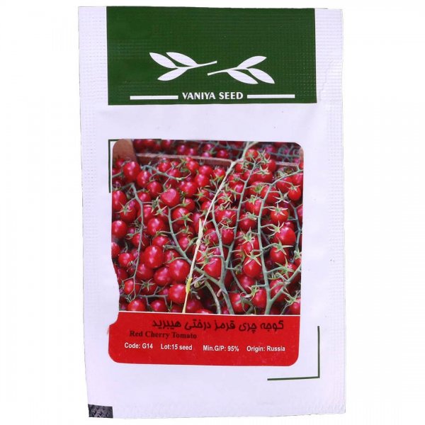 گوجه چری قرمز درختی هیبرید (Red Cherry Tomato) وانیا آذر سبزینه کد G14 مقدار 15 گرم