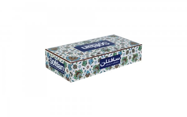 دستمال کاغذی دولایه سافتلن بسته 100 برگ طرح رندم