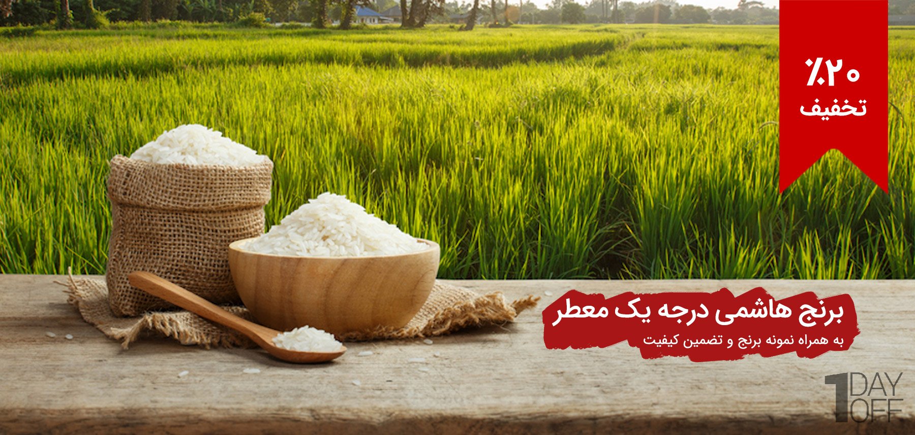 فروش ویژه برنج هاشمی درجه یک مخصوص معطر گیلان عرضه اختصاصی در وان دی آف - با تضمین کیفیت و بسته نمونه 100 گرمی